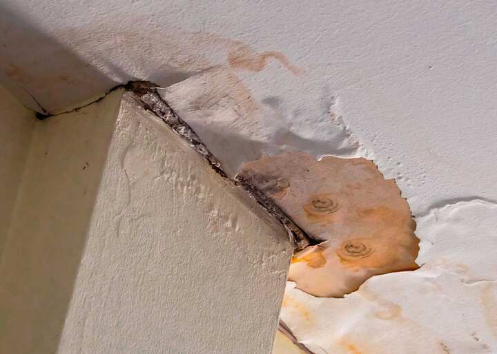 Water-Damage-Mold-Removal water damage mold removal Asheboro, NC
